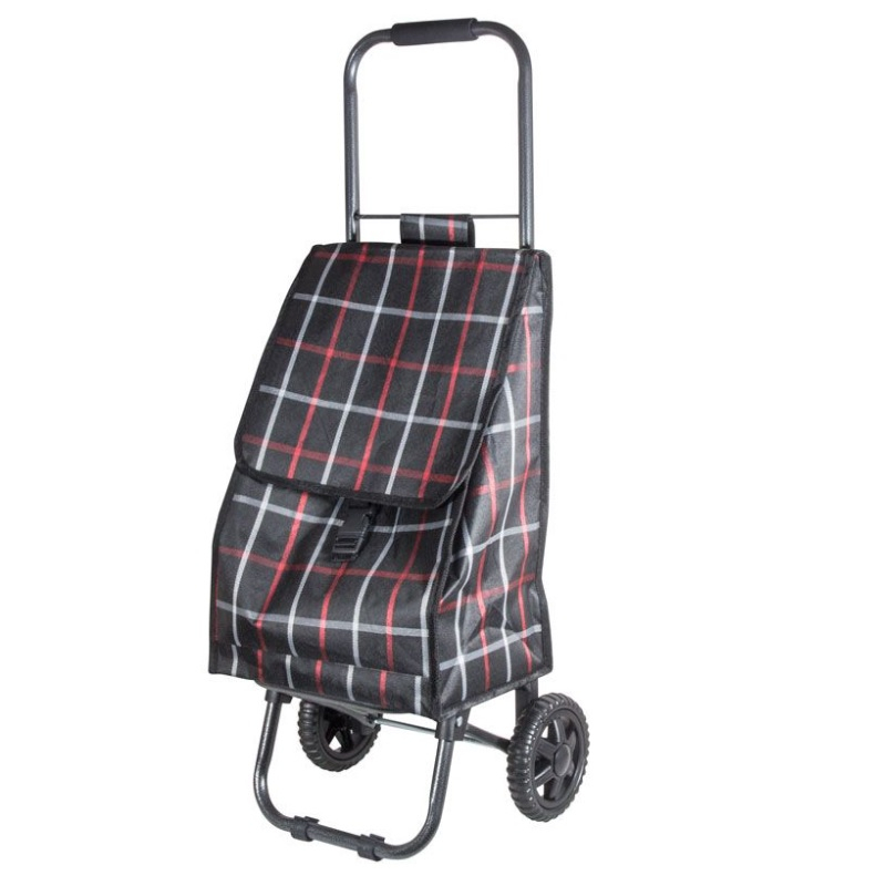 Сумка-тележка хозяйственная Рыжий кот Brown D203ECO 32х29х84 см