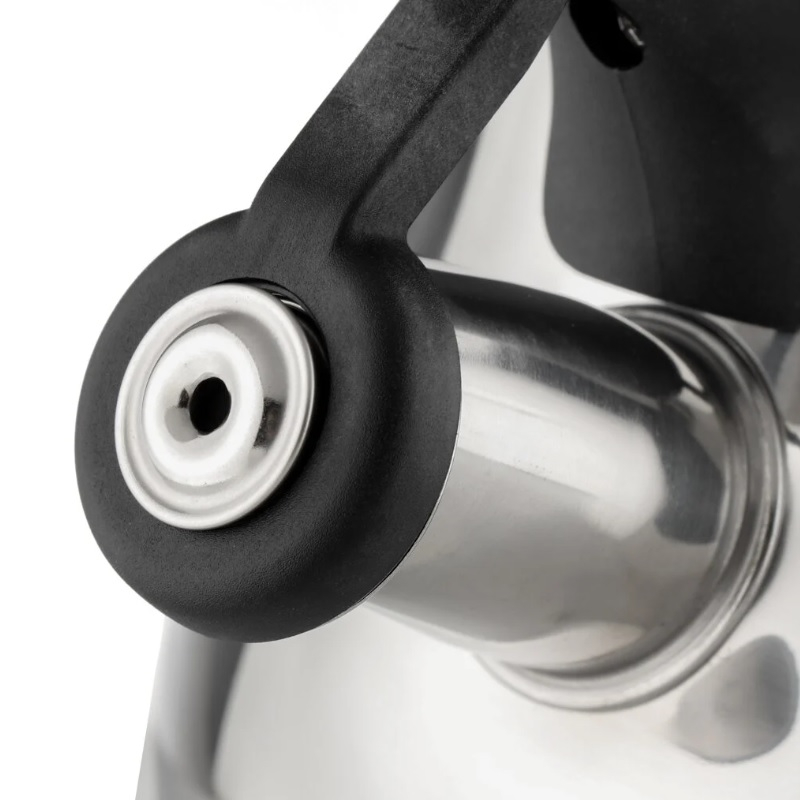 Чайник Daniks GS-04052A нержавеющая сталь со свистком 2,8 л