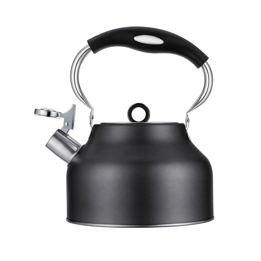 Чайник Regent inox Linea TEA 93-TEA-49, 2.5 л, со свистком, нержавеющая сталь