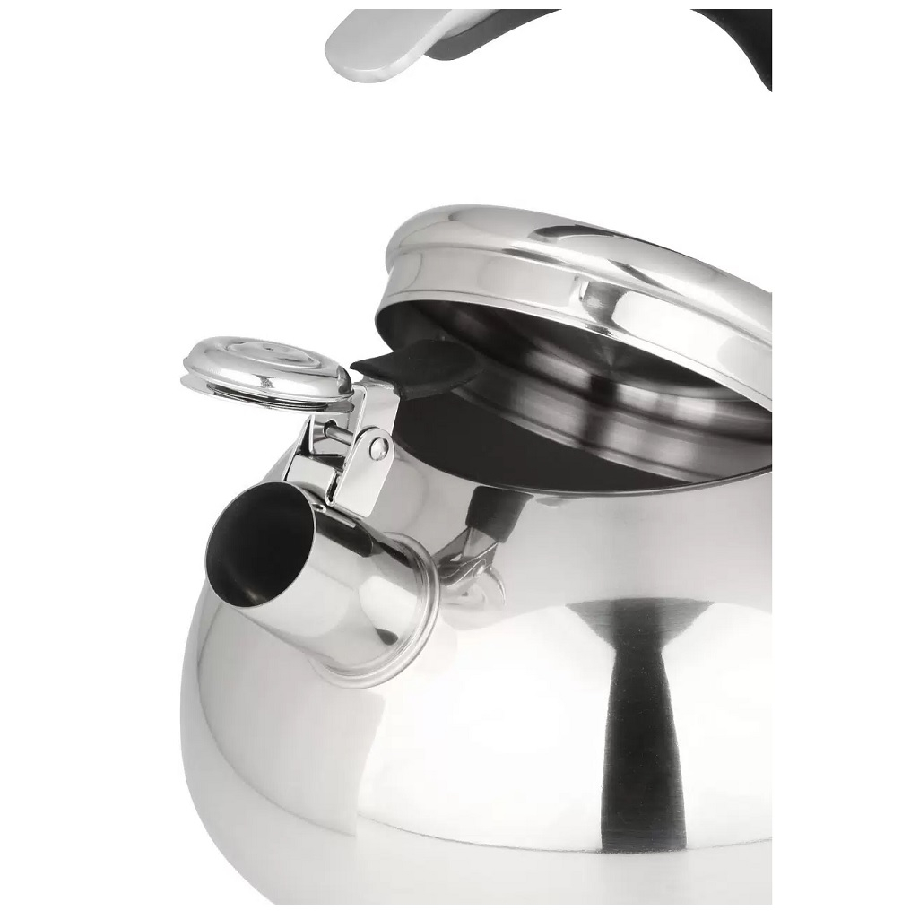 Чайник нержавеющая сталь Daniks Expert GS-04590, 480194, со свистком, зеркальный, индукция, 3 л