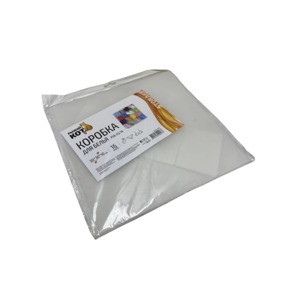 Коробка для белья Рыжий Кот PSB-03/16, 312554,16 ячеек, 100х300х300 мм, пластик, белый
