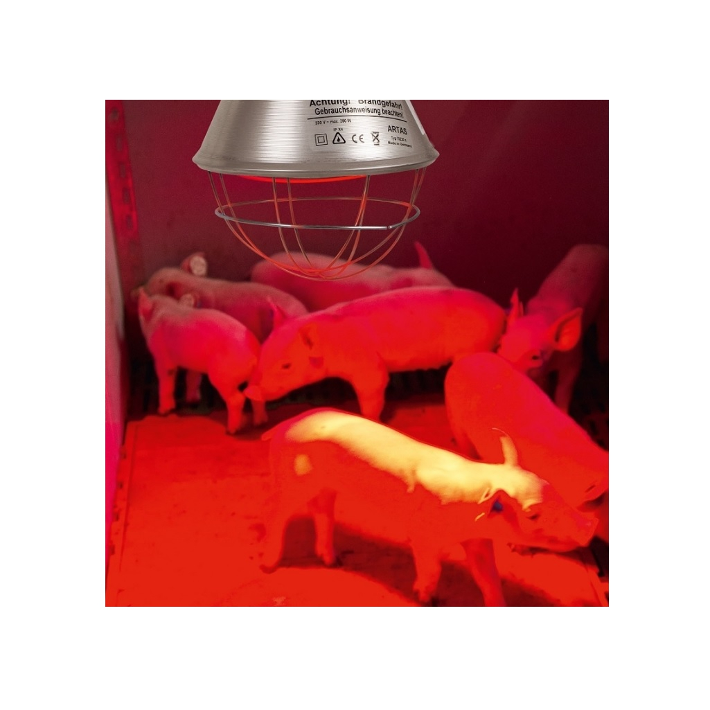 Лампа накаливания инфракрасная зеркальная КЭЛЗ ИКЗК-250, R127, Е27, термоизлучатель 