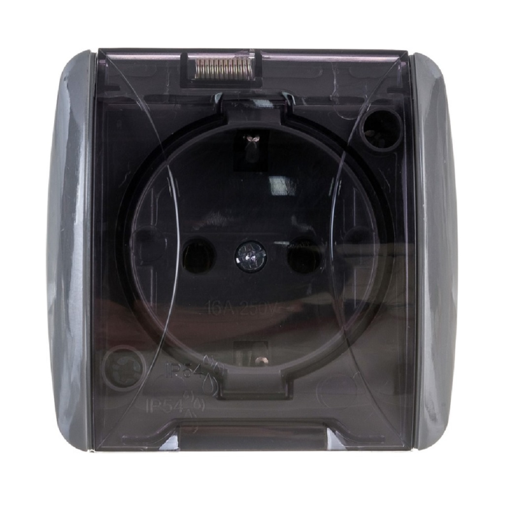 Розетка 1-местная Селигер TDM SQ1818-0107, с заземлением, накладная, серая