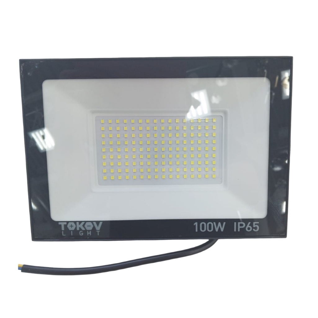 Прожектор светодиодный TOKOV LIGHT TKL-FL/LED-100-6.5K-IP65, 100 Вт, 6500К холодный свет