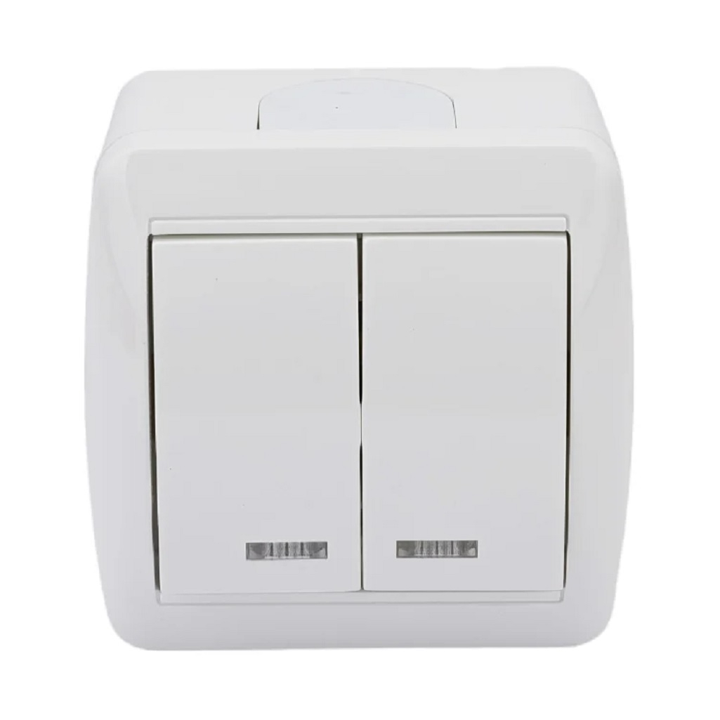 Выключатель двухклавишный TDM Electric Селигер SQ1818-0004, накладной, оконечный белый