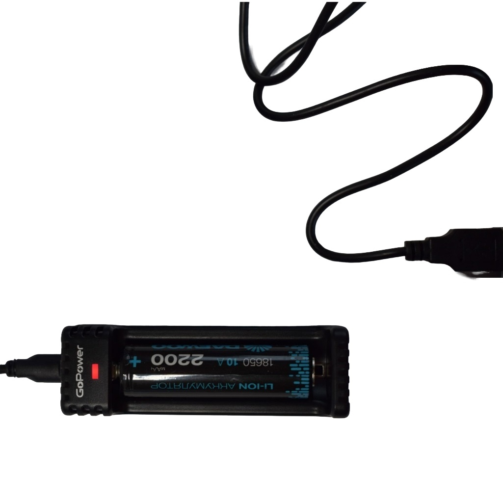 Зарядное устройство GoPower 00-00015361 автоматическое, для аккумуляторных батареек LiCharger 2