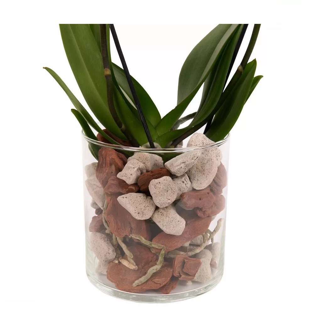 Грунт Agros Субстрат для орхидей, на основе пеностекла, кора сосны, объем 2 л