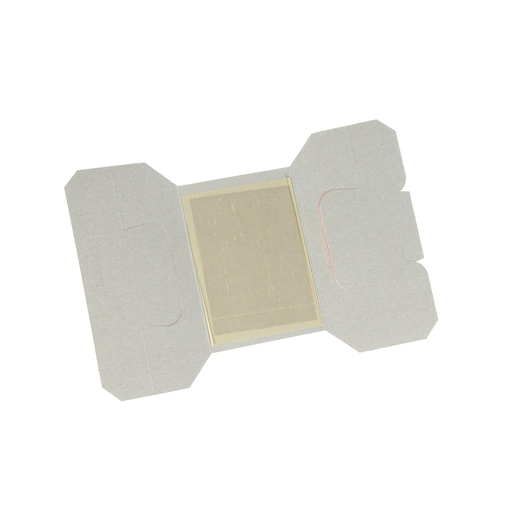 Ловушка клеевая для мышей Valbrenta Chemicals Приманочный домик, в упаковке 5 штук