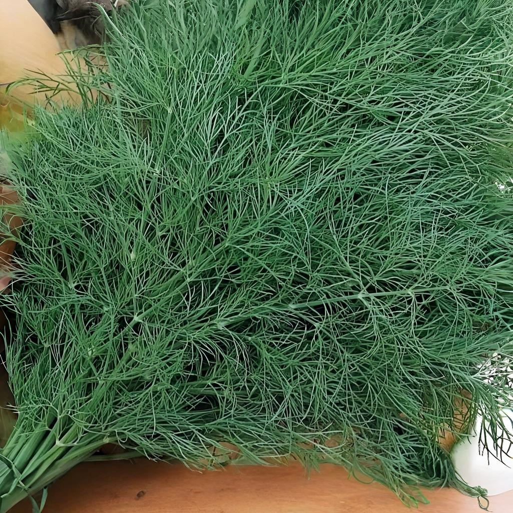 Семена Укроп Супердукат, позднеспелый, однолетний, Агроуспех 211045