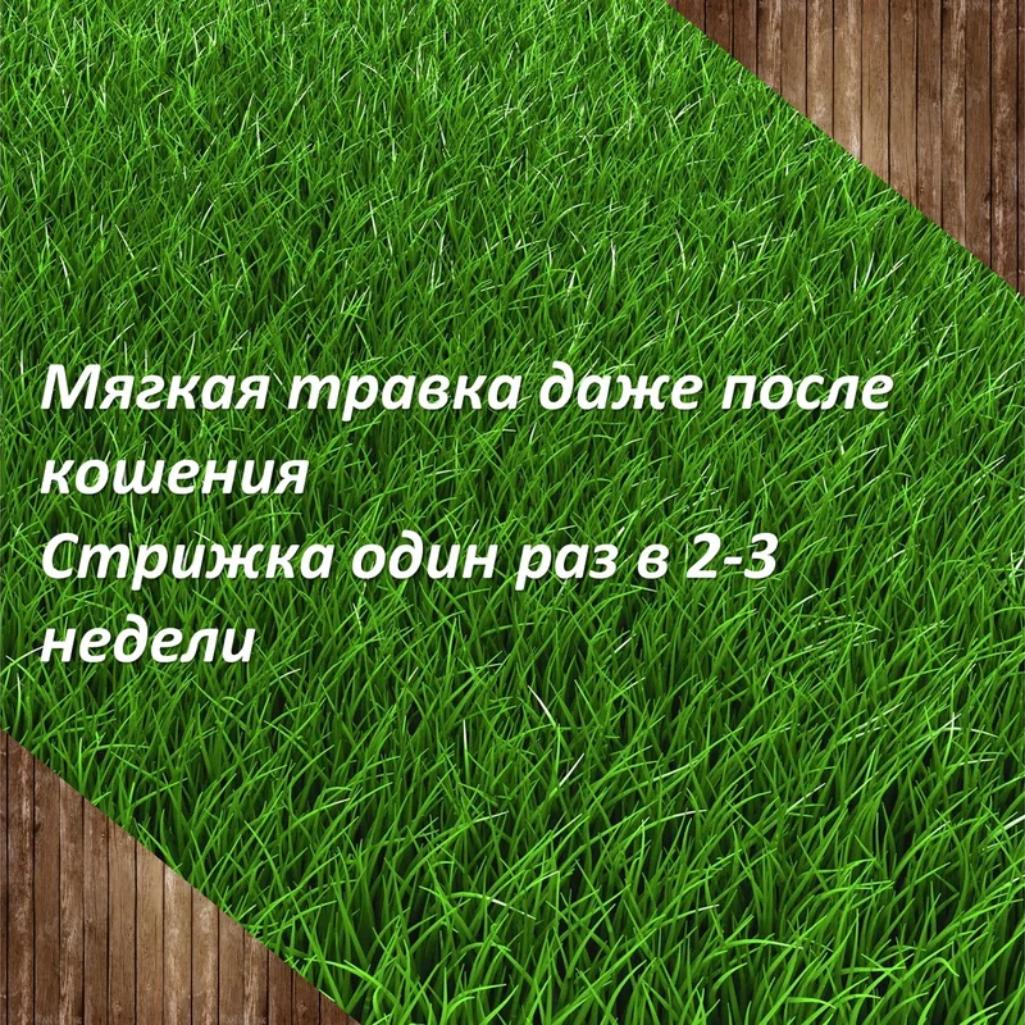 Газон Лилипут 0.5 кг Зеленый ковер