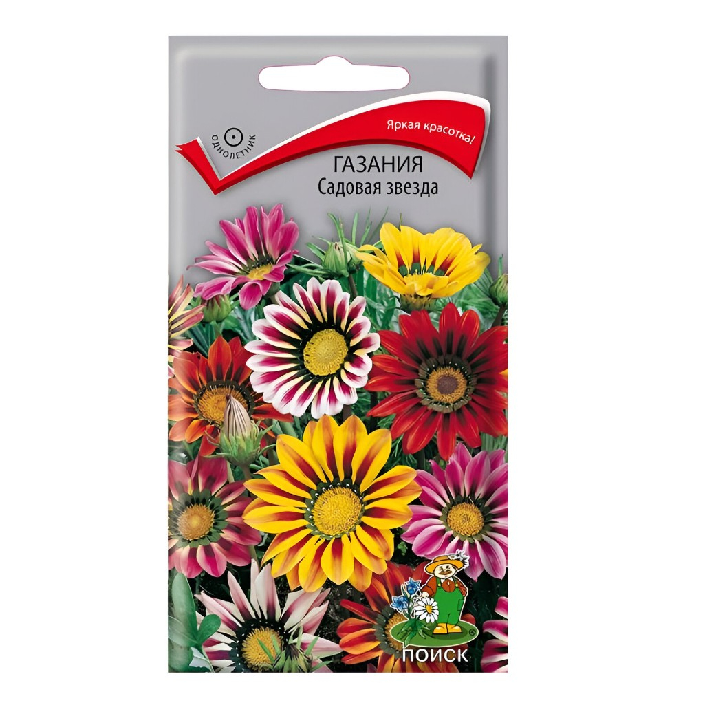 Семена Газания Садовая Звезда, однолетняя, Агрохолдинг Поиск, 0.1 гр