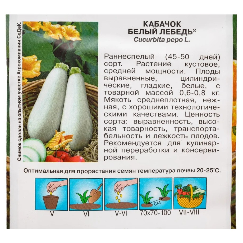 Семена Кабачок Белый лебедь раннеспелый, лежкий, Седек, 2 г
