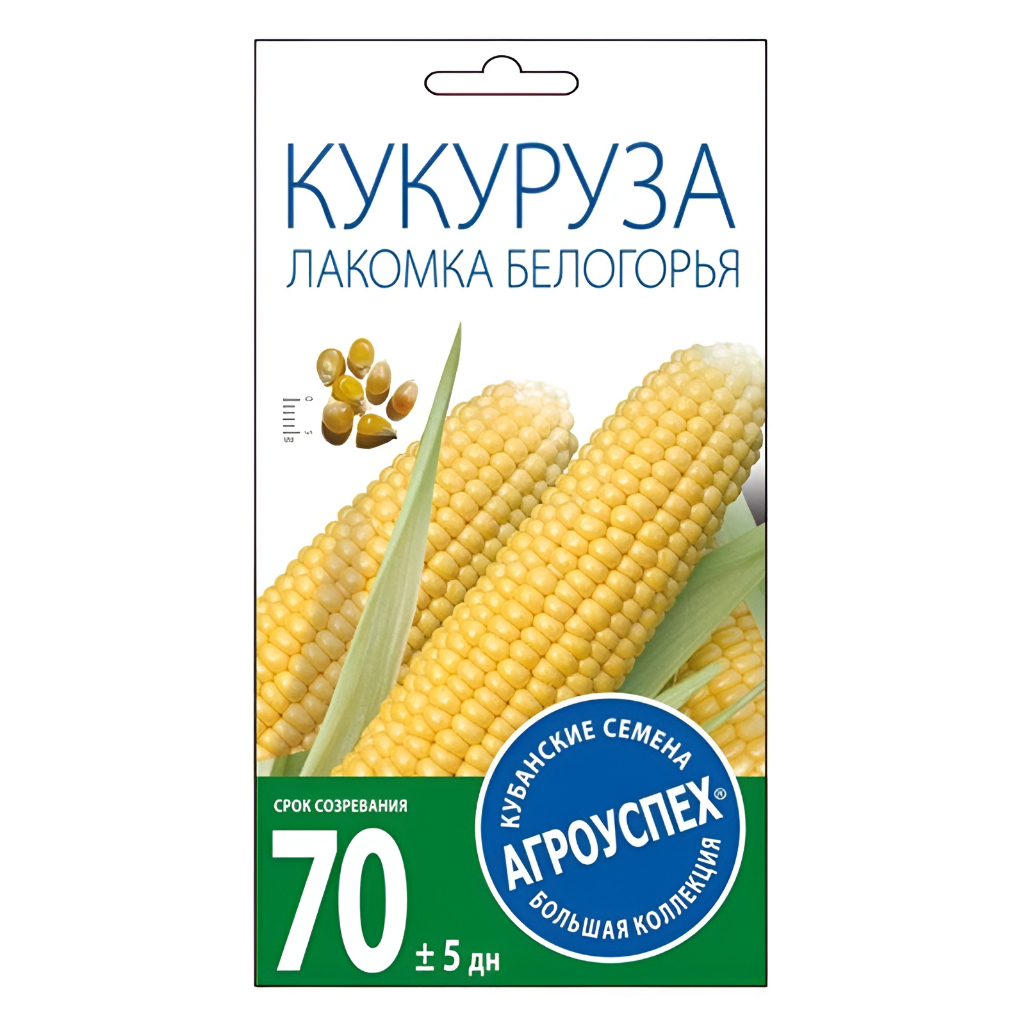 Семена Кукуруза сахарная Лакомка Белогорья, раннеспелая, однолетняя, Агроуспех, 212029