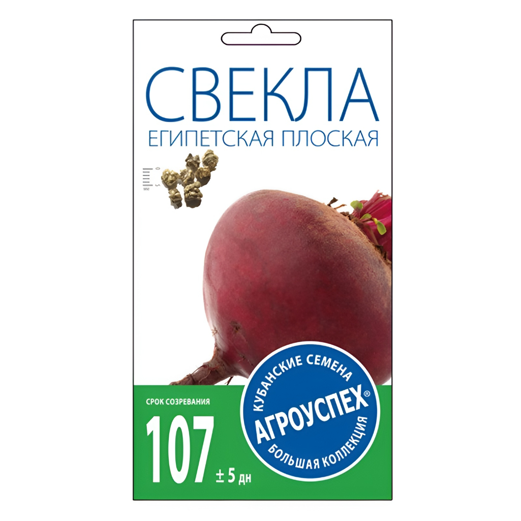 Семена Свекла Египетская плоская, среднеспелая, Агроуспех, 212130