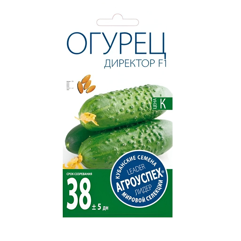 Семена Огурец Директор, раннеспелый, гибрид F1, Агроуспех, 7шт 