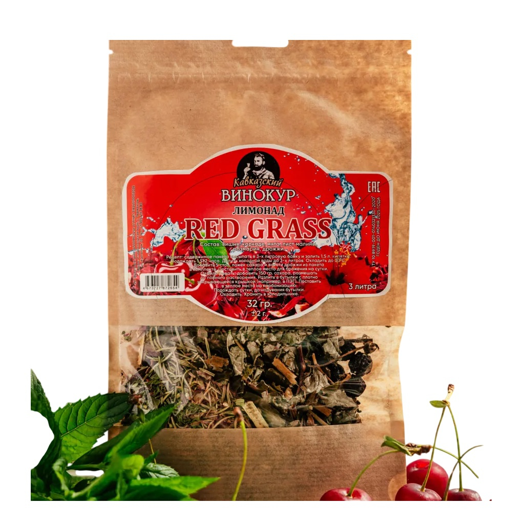 Набор Винокур RedGrass ДВ827, для приготовления лимонада, для пикника