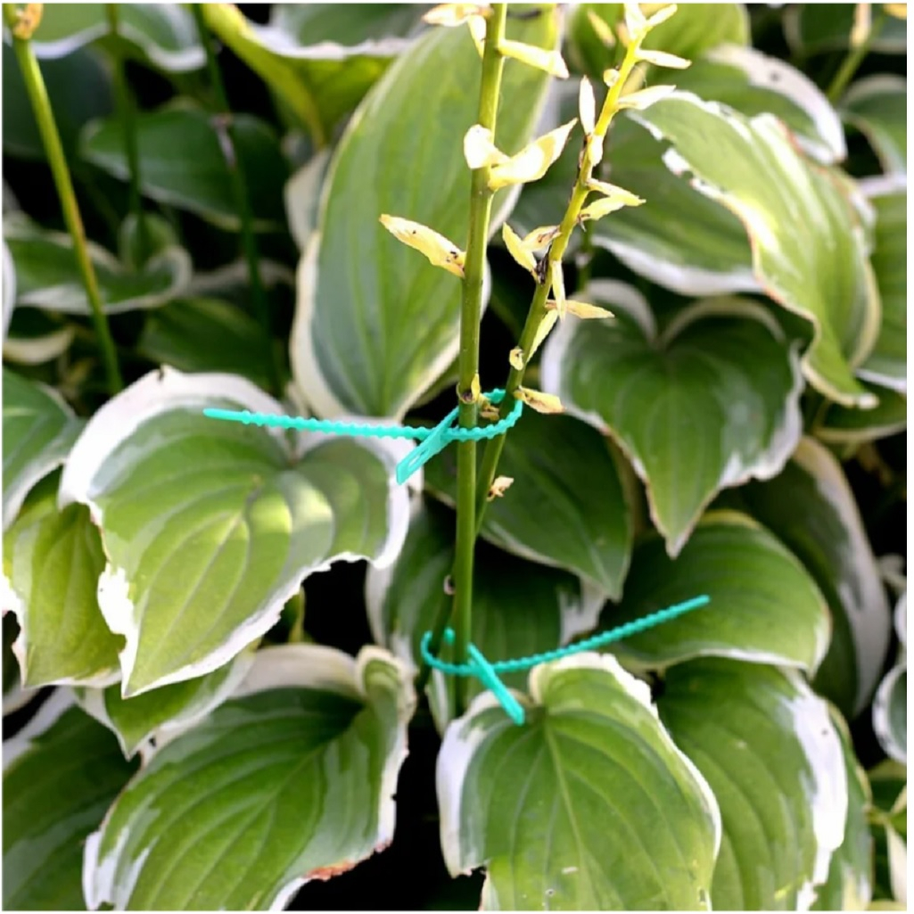 Набор подвязок для растений Мультидом VL83-232, в упаковке 50 штук