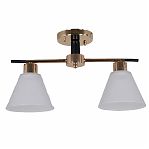 Люстра Reluce 09112-3.3-02 FG+BK потолочная для гостиной, детской, кухни, спальни