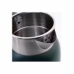 Чайник электрический Ergolux PRO ELX-KS13-C05, 1.6 л, 2 кВт, зеленый 