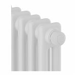Дизайн-радиатор Royal Thermo Insignia VC2180 - 06 секций RAL9016