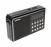 Радиоприемник Сигнал РП-221 USB, microSD, пластик, черный, 33х73х114 мм