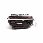 Радиоприемник Сигнал РП-226BT USB, microSD, пластик, черный с серебристым