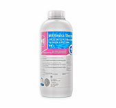 Средство PH+ Wellness Therm для повышения PH воды в бассейне, 1 л