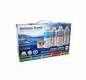 Набор химии Wellness Therm для ухода за водой в бассейне, 4 бутылки
