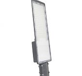 Светильник уличный Gauss LED Avenue IP65 50W 4000K 