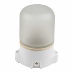 Светильник влагозащищенный Uniel UWL-K01R 60W-E27 накладной, Е27, IP65, белый