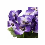 Цветок Фиалки в кашпо искусственный декоративный 23х10см Y4-7933