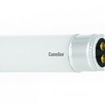 Лампа люминесцентная Camelion FT5 13W/33 Cool Light, 4200K, 5872 