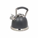 Чайник Daniks GS-04324B-1 нержавеющая сталь индукция 2.4л