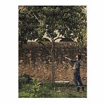 Сучкорез FISKARS Power Cea X UPX86 телескопический 2,4м-4м 1023624