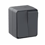 Выключатель 2-кл. SchЕ AtlasDesign Profi54, антрацит 10А ATN544051
