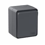 Переключатель 1-кл. SchЕ AtlasDesign Profi54, антрацит 10А ATN544061