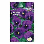 Фиалка-Витрокка Ураган Седек
