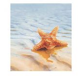Панно Ceradim Starfish Dec 1 из 2-х шт 500x450 мм