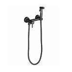 Смеситель с гигиеническим душем Frap F7503-9, оружейная сталь