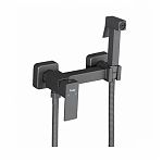 Смеситель с гигиеническим душем Frap F7504-9, оружейная сталь
